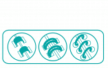  <br>- RELIURE SPIRALES - 